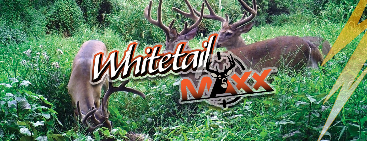 WhitetailMaxx