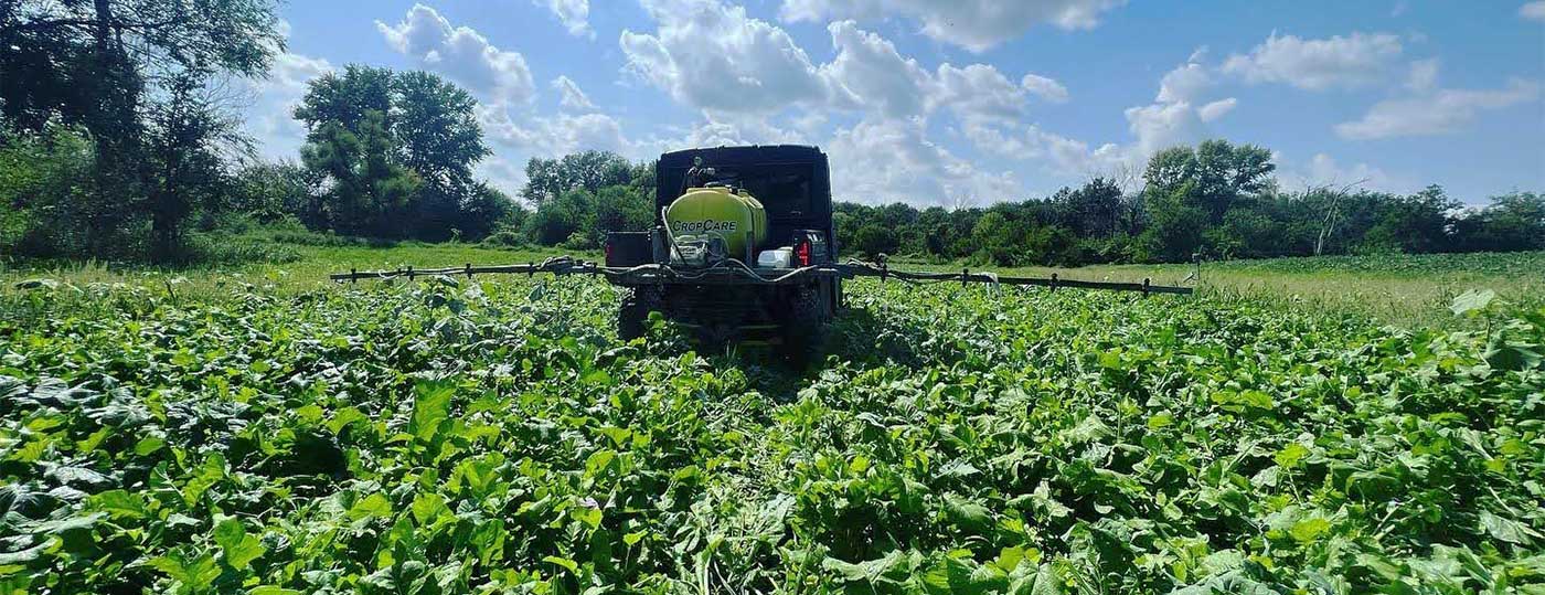 Foliar Feeding: Using Liquid Fertilizers to Sweeten Your Food Plot