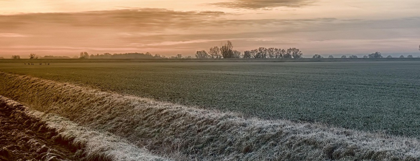 Frost Seeding Your Food Plot or Pasture